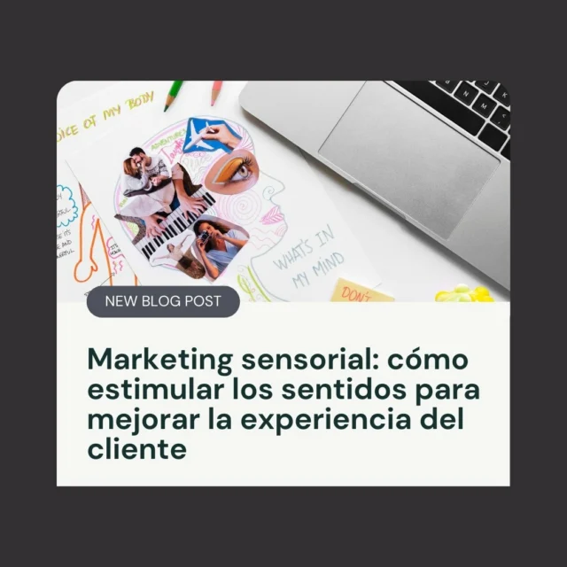 🎯 ¿Cómo conquistar a tus clientes sin decir una palabra?
 Con el marketing sensorial, puedes activar sus sentidos y crear experiencias inolvidables que conectan con la emoción y aumentan las ventas. 👁️👂👃✋👅

En nuestro nuevo artículo te contamos cómo utilizar colores, aromas, sonidos, texturas e incluso sabores para diferenciar tu marca y mejorar la experiencia de compra.

✨ Si quieres que te recuerden, tienes que hacer que te sientan.
🔗 Lee el artículo completo en el blog (link en bio).

 #MarketingSensorial #ExperienciaDeCliente #Neuromarketing #Branding #PandemoniumBlog